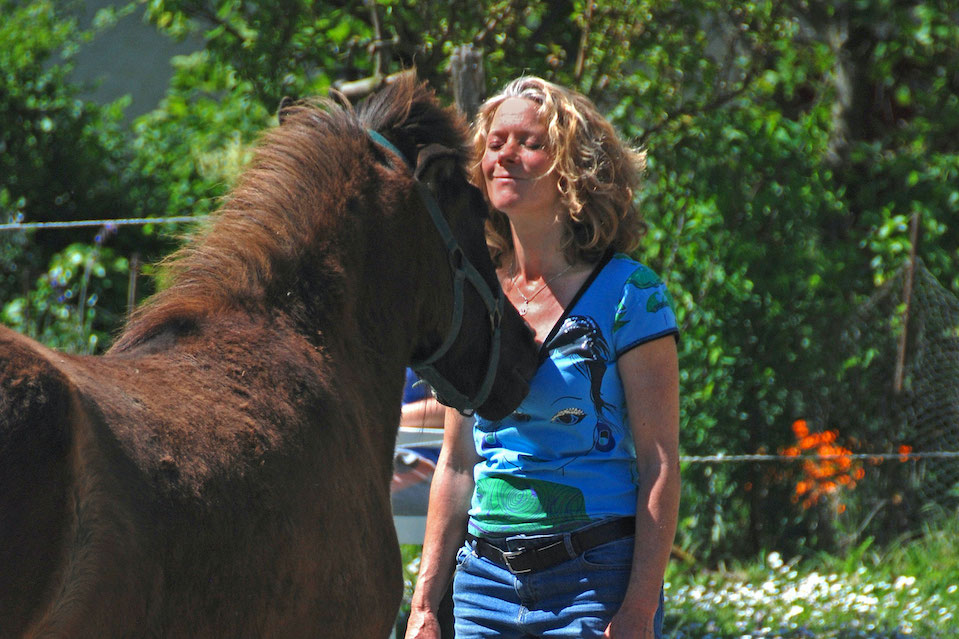 Paardencoaching in Frankrijk 3